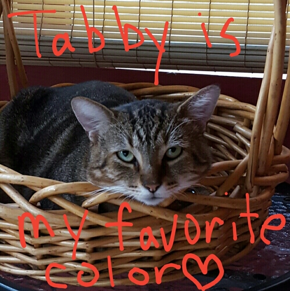 🛍Here's How to BUNDLE... - Picture 8 of 8